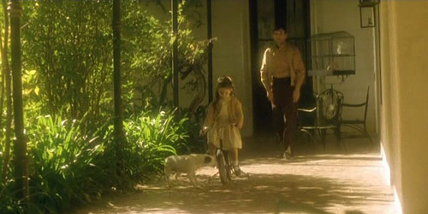 Jorge Ferrari - portfolio