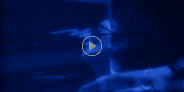 Jorge Ferrari - portfolio